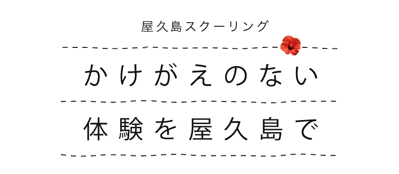 かけがえのない体験を屋久島で