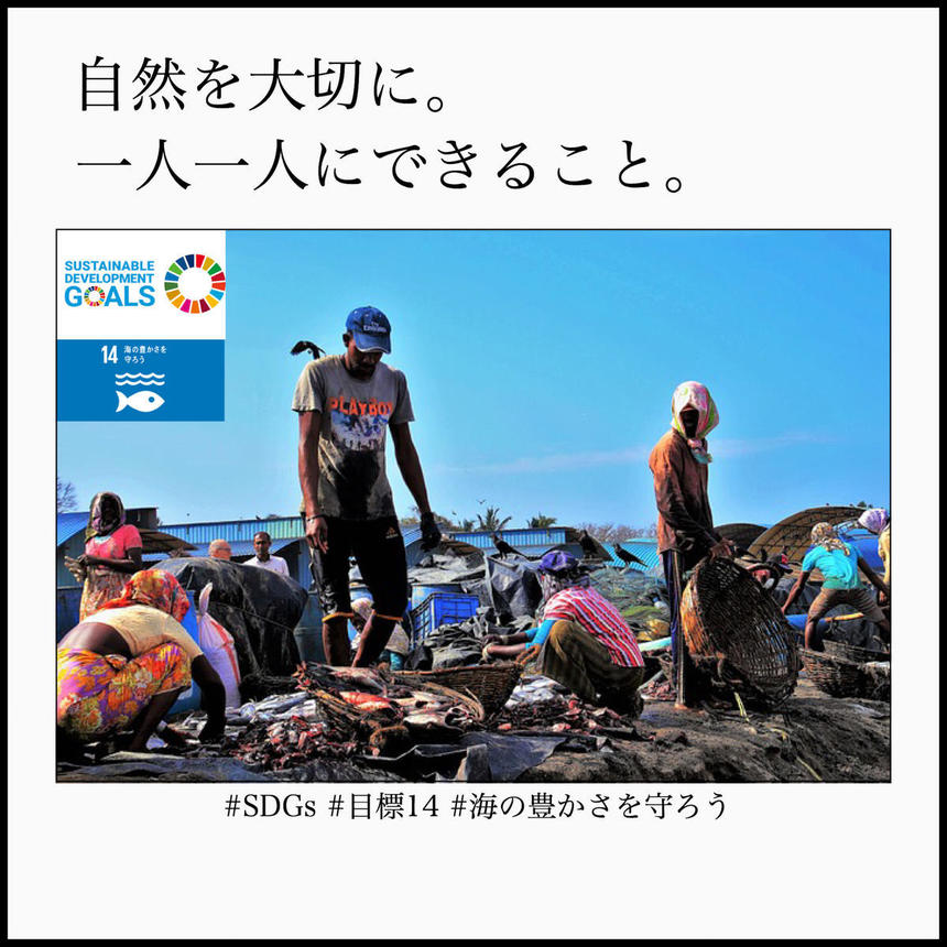 寺子屋運動　SDGs