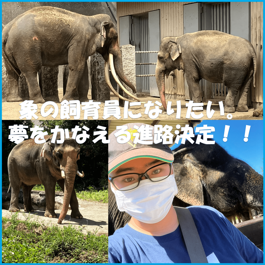 生徒と動物園の象