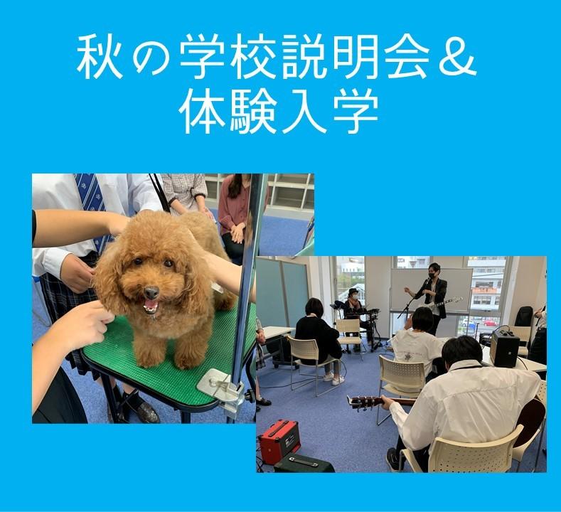 学校説明会＆体験入学