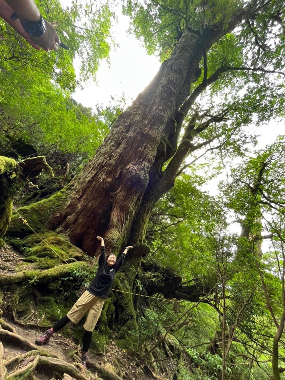屋久島の大自然