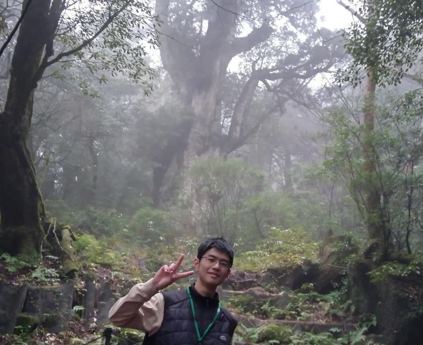 縄文杉の写真