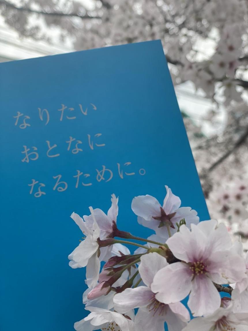 満開の桜とおおぞら高等学院の想いを描いた絵本『なりたいおとなになるために。』(KTC中央出版刊）