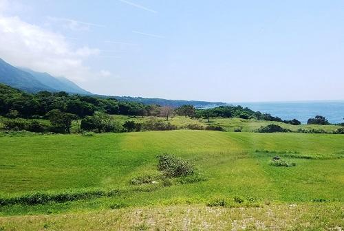 4月からの新しい高校生活のイメージはできていますか？