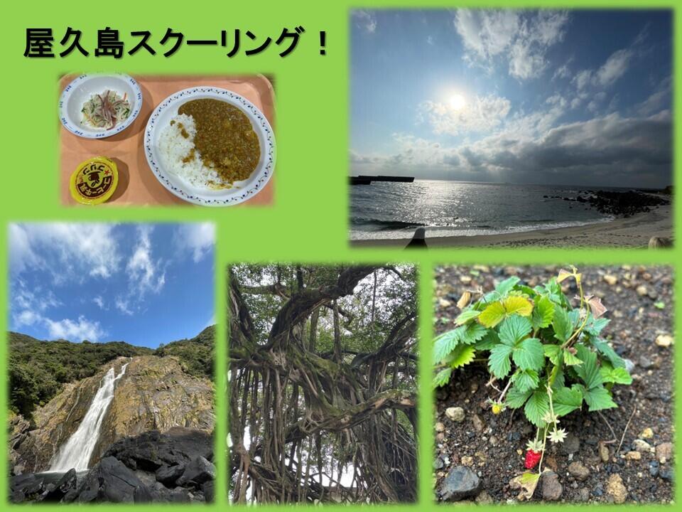 生徒とコーチが実際に現地で撮影した写真