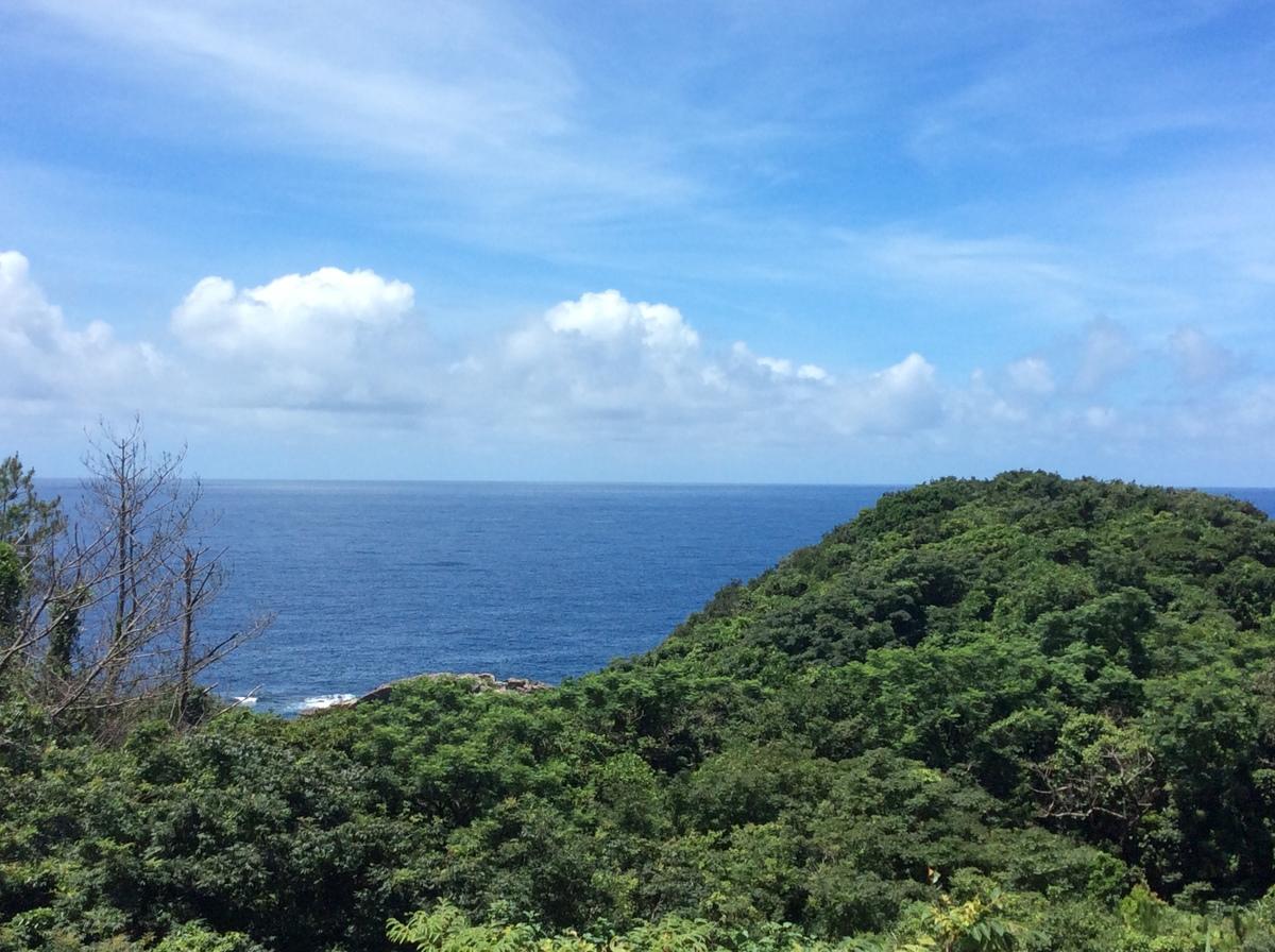 屋久島おおぞら高校の周辺風景