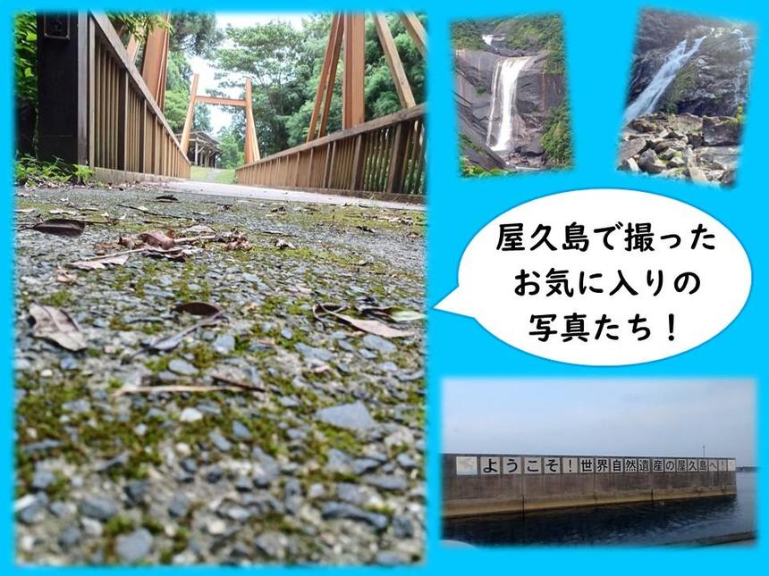 屋久島で撮ったお気に入りの写真たち！