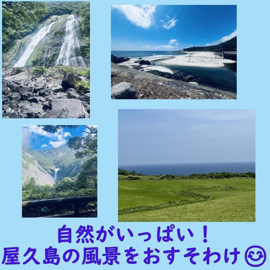 屋久島の風景