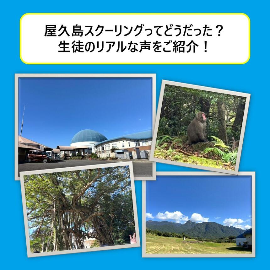 屋久島スクーリングの様子