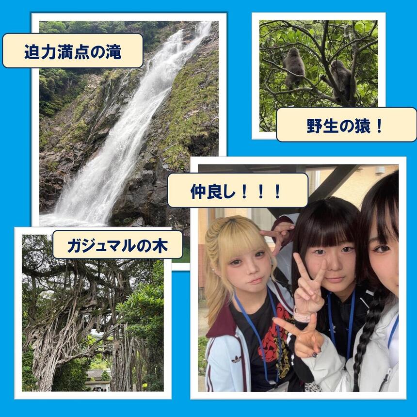 屋久島スクーリングで生徒が撮影した滝・ガジュマル・動物の自然の写真と生徒の集合写真