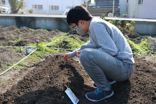 愛情をこめて植えてきました