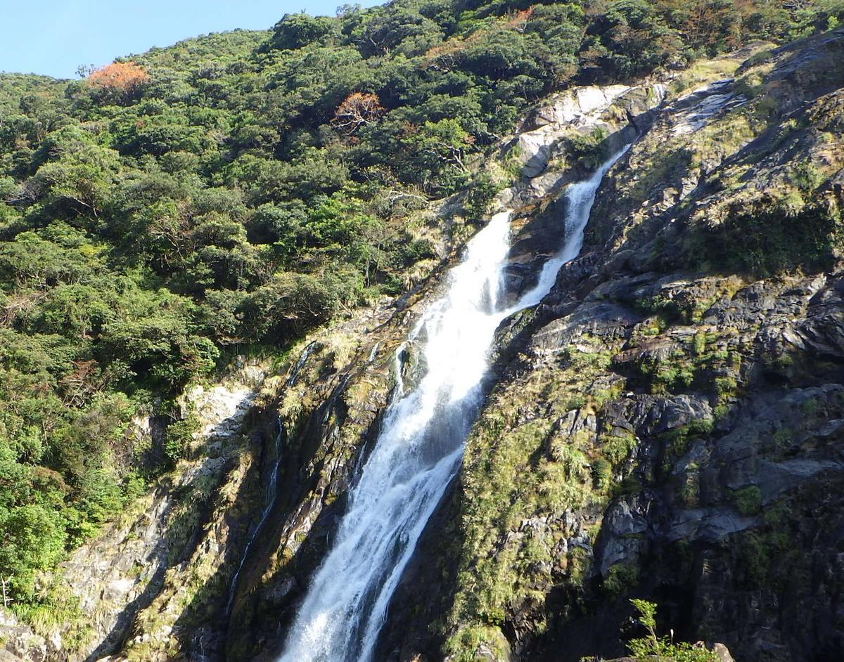 屋久島の自然