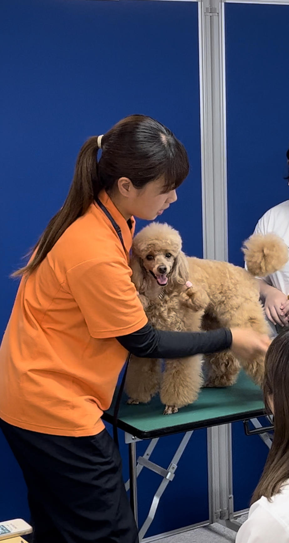 ペット専門学校道具 キャンパスにワンちゃんがやってきた！ つくば国際ペット専門学校の