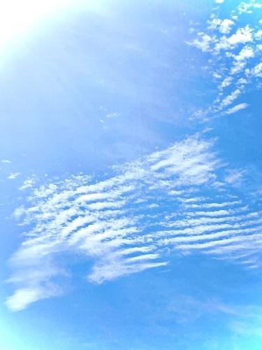 生徒が撮影した屋久島の空