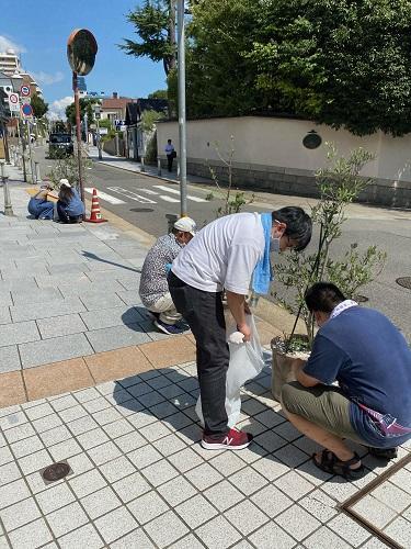 神戸の街にオリーブを広げる活動をしています