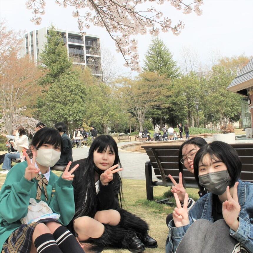桜の下で4人の生徒が昼食をとっている写真です。