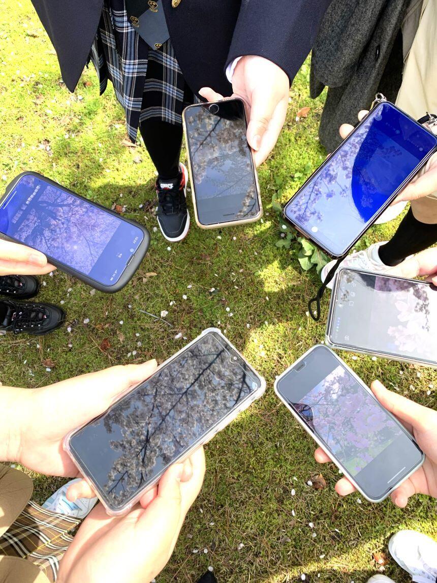 たくさん撮った写真