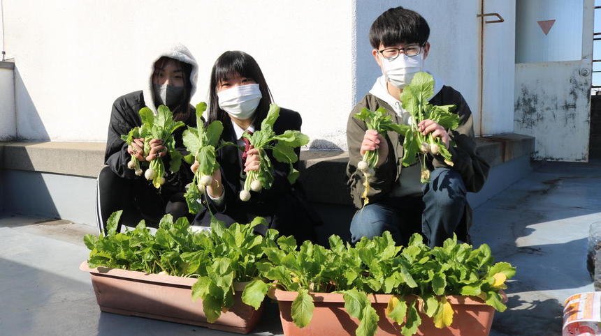 かぶ収穫祭