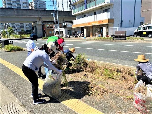 草むしりもいい体験に♪