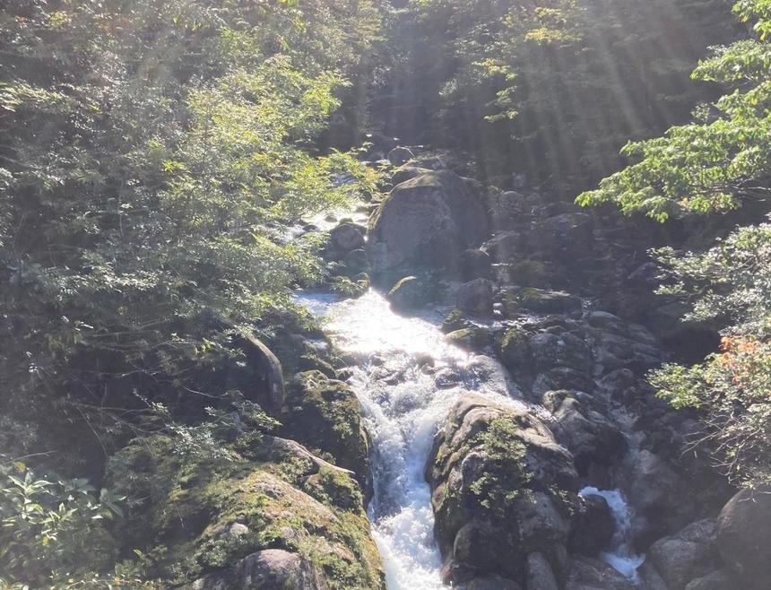 屋久島風景