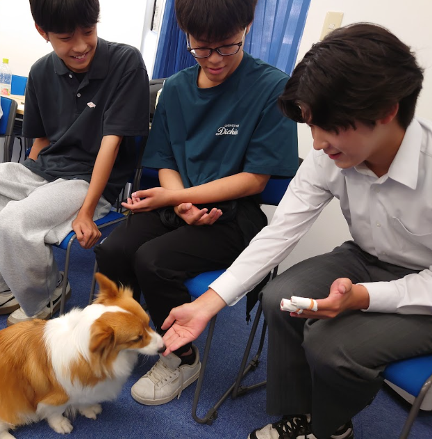 生徒とコーギー犬のくるみちゃんが触れ合っている様子