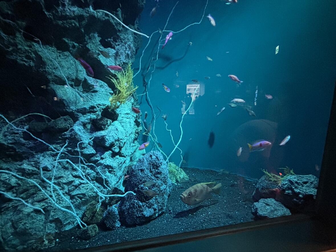 海の中道マリンワールド