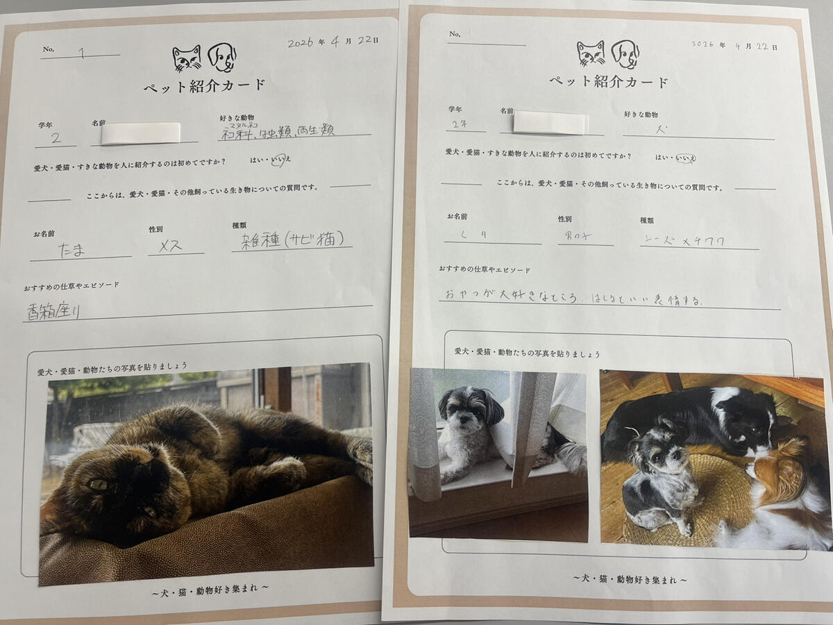 生徒が作成したペット紹介カード