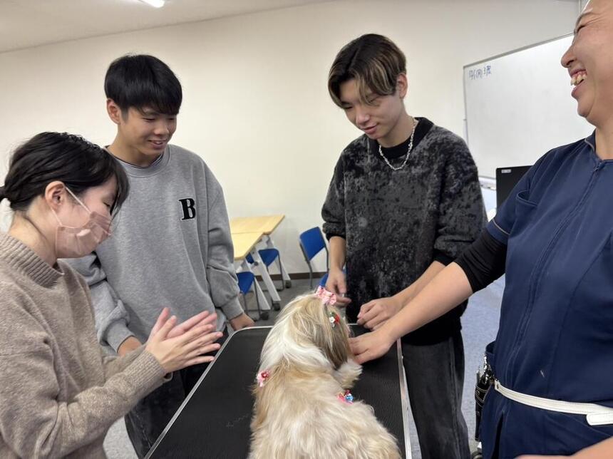 カコトリミングスクールの先生による「トリマー体験」
