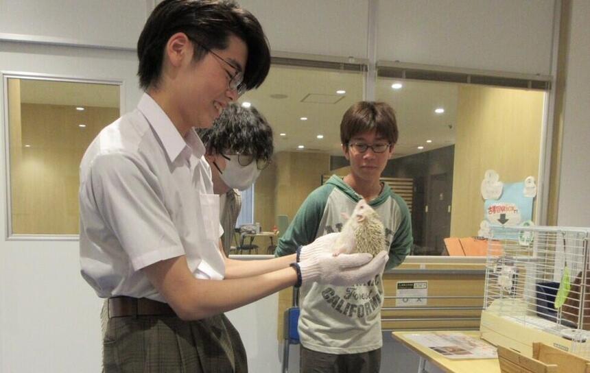 生徒がみらいの架け橋レッスン®で動物と触れ合う様子