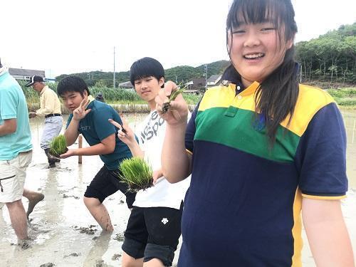 田植えアートに参加しました☆