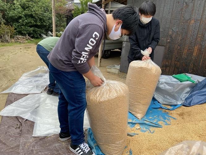 農業体験に参加する生徒