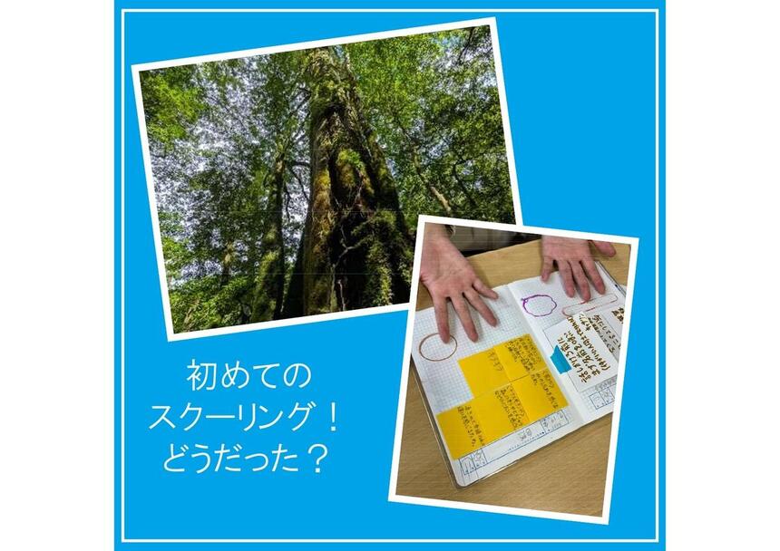 生徒が屋久島で撮った写真とスクーリング中に書いたKTCみらいノート®の写真