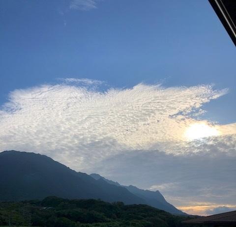 大自然の島、屋久島