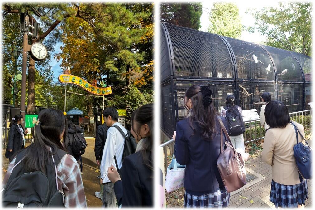 大宮小動物園での観察