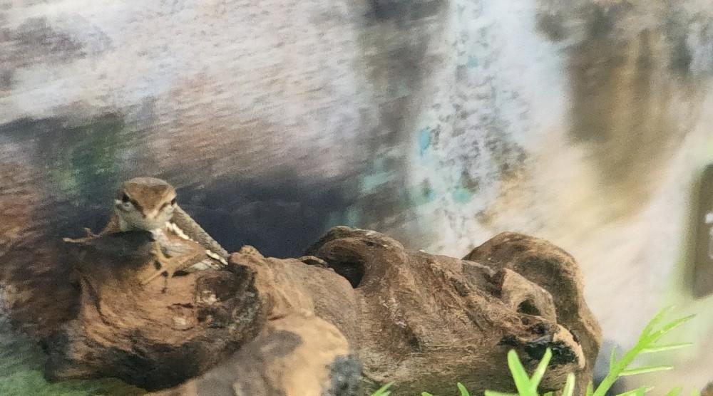 3197c12a795beeaa692a543e50c9e0