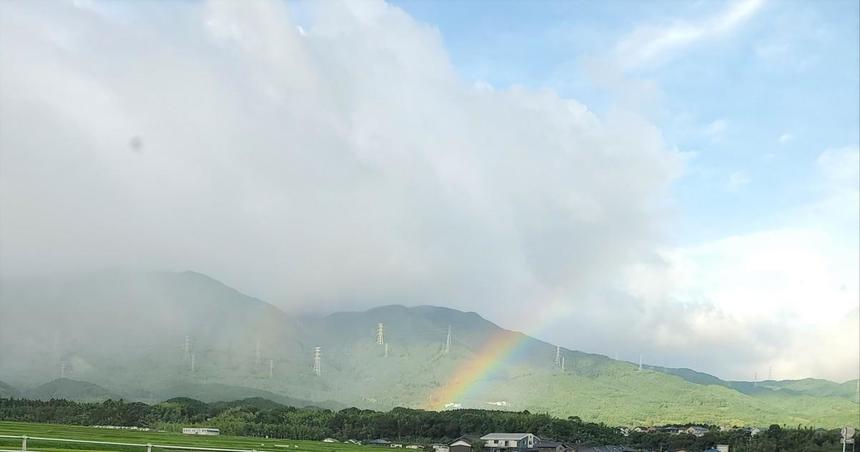 夏の空