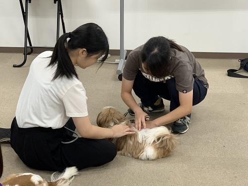 生徒と犬