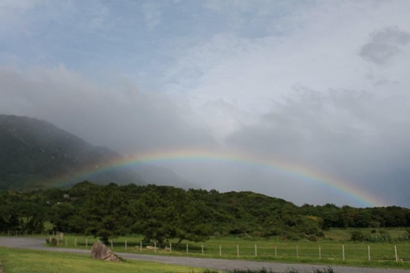 屋久島からパワーをいただきました