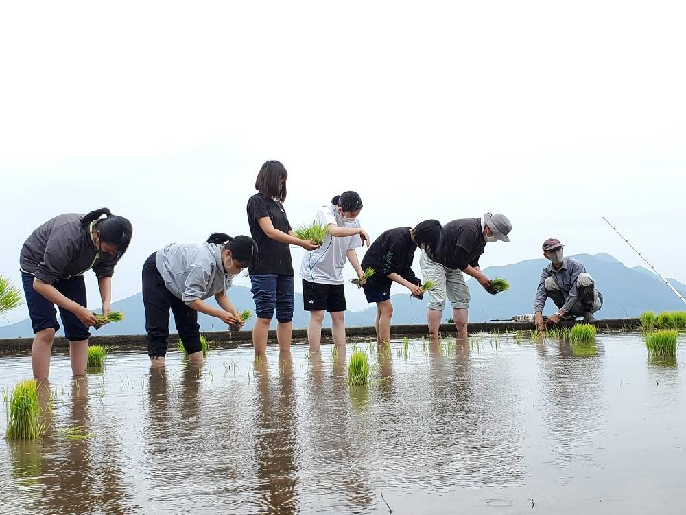 有田町の皆様と一緒に田植えをしました