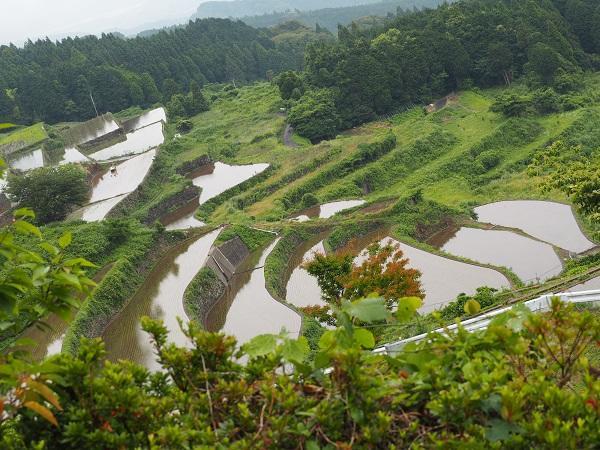 岳の棚田