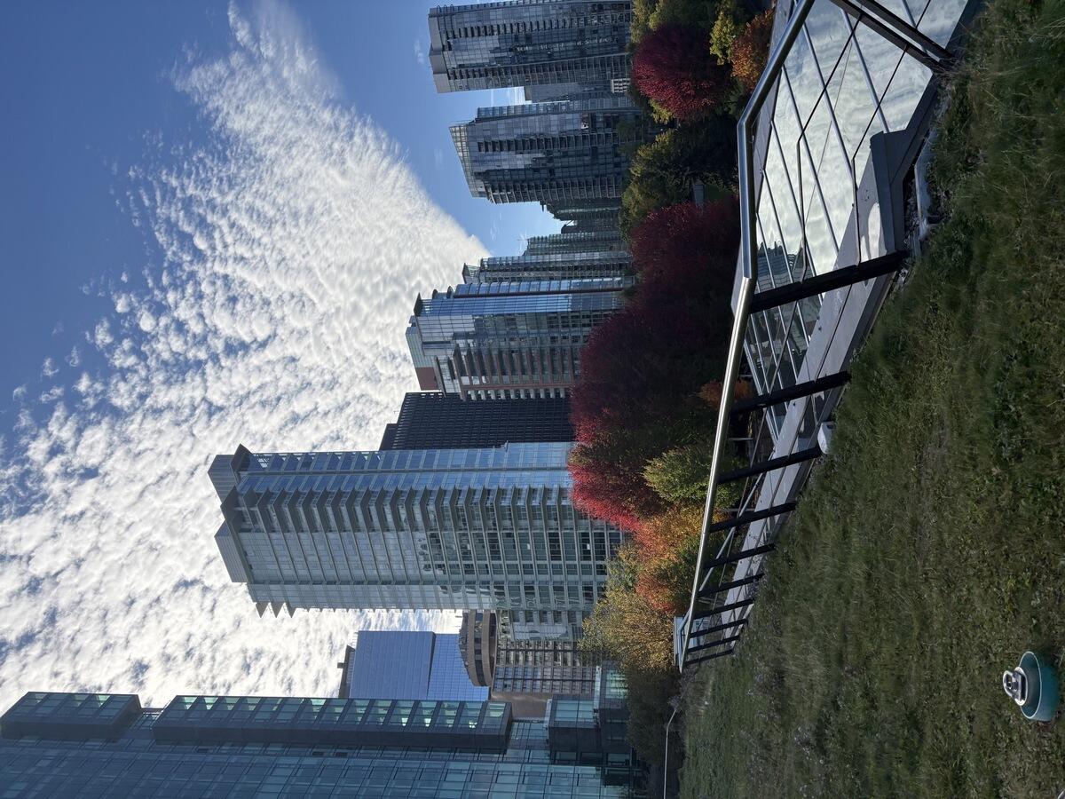 ビルと紅葉樹と海が入った写真