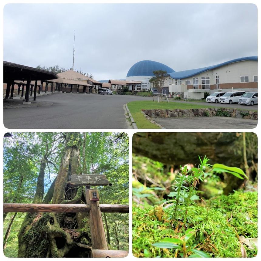 屋久島おおぞら高等学校校舎やアウトドアでの写真