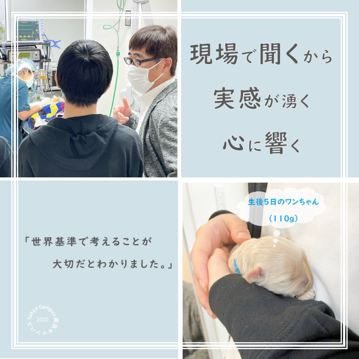 動物病院の見学の様子