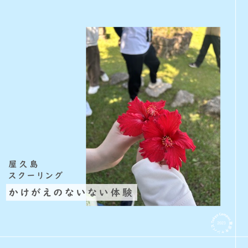 屋久島で撮影した花