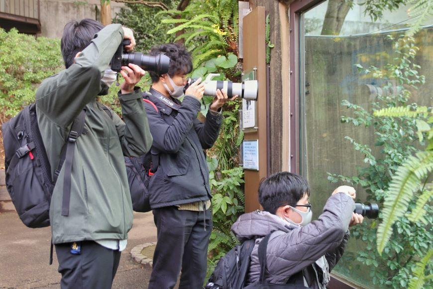 写真を撮っている様子