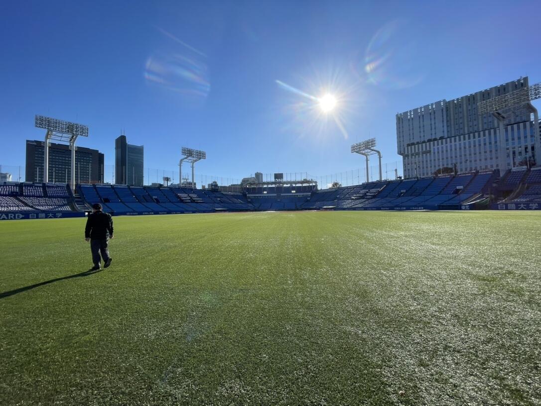 神宮球場見学