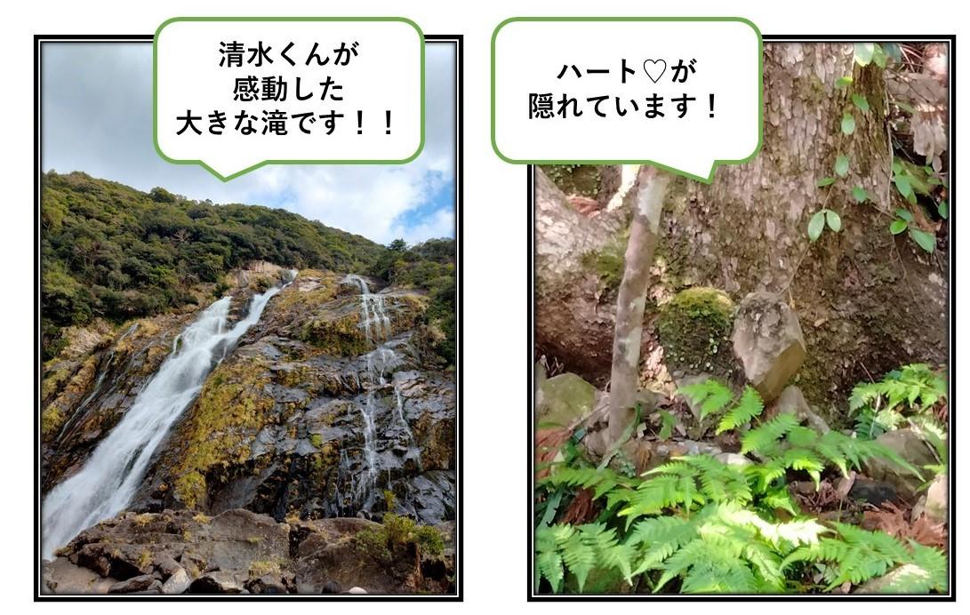 生徒が撮影した屋久島の写真