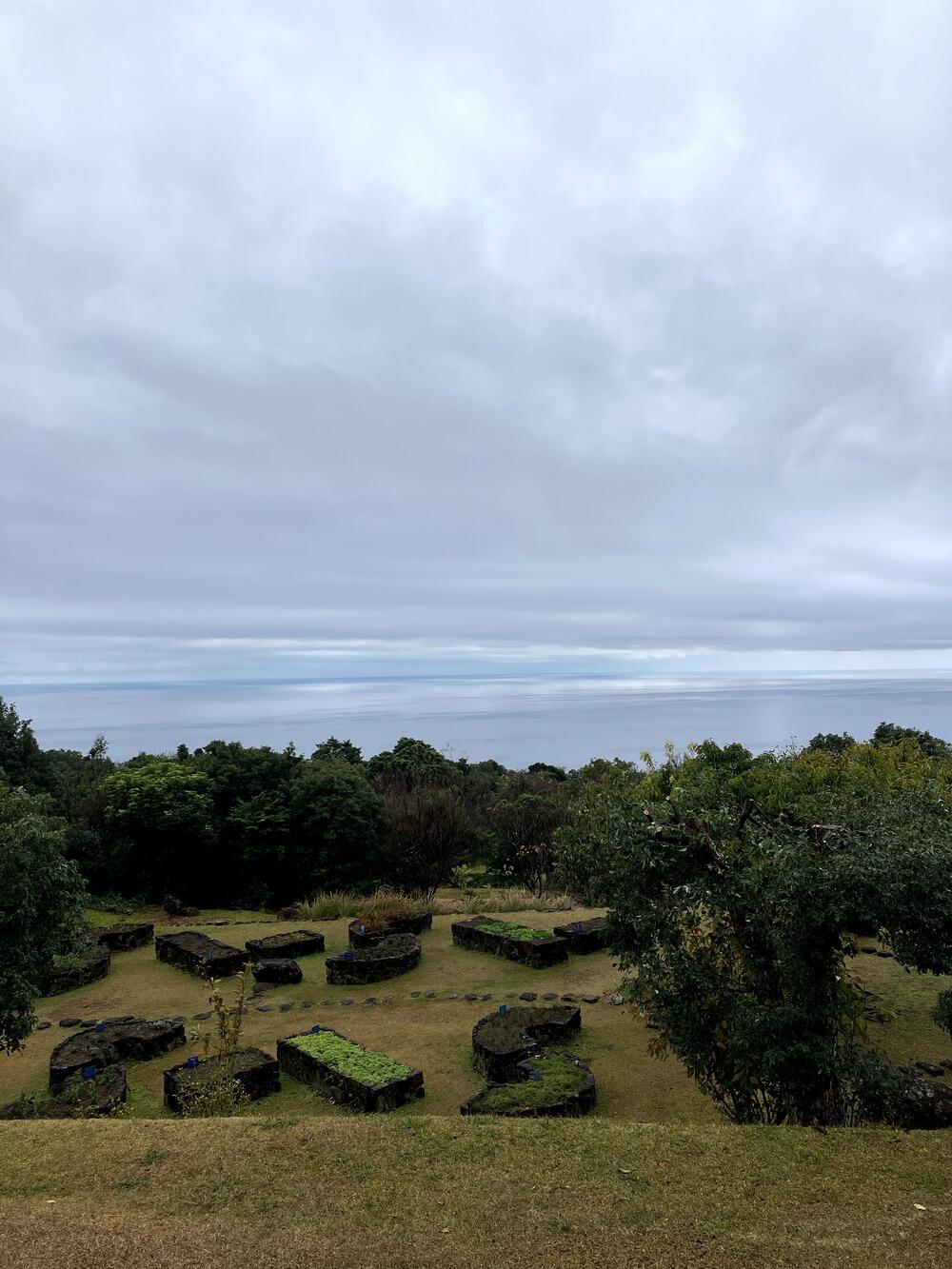 屋久島で撮ってきた写真