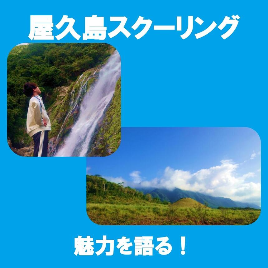 屋久島の自然感じる写真