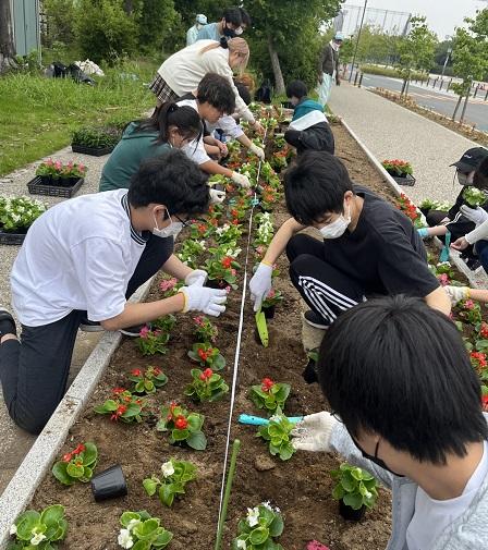 公園に花の苗を植える生徒